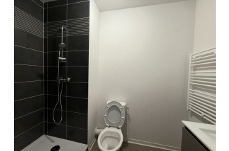 IMG 2564